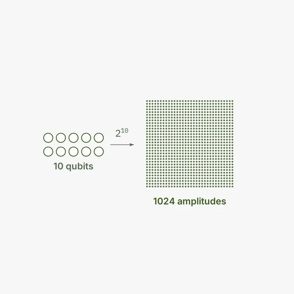 Ten small circles for ten qubits, an arrow labeled two to the ten, leading to a dense grid of 1024 amplitudes.