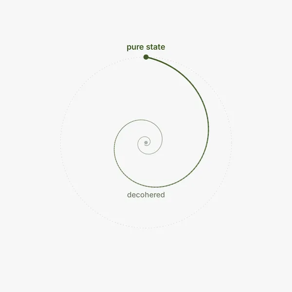 An inward spiral that starts at a labelled pure state on the outside and winds to a decohered point at the centre.