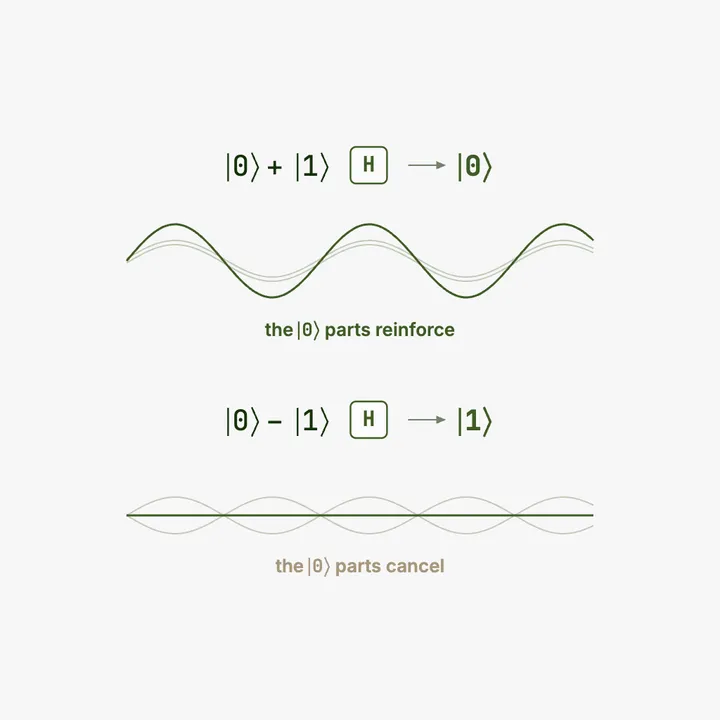 Zero plus one through a Hadamard gate becomes zero, as its zero parts reinforce. Zero minus one through the same gate becomes one, as its zero parts cancel to a flat line.
